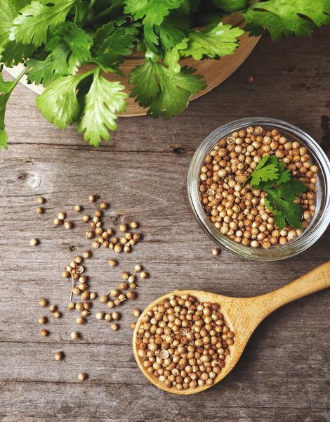 All About Coriander